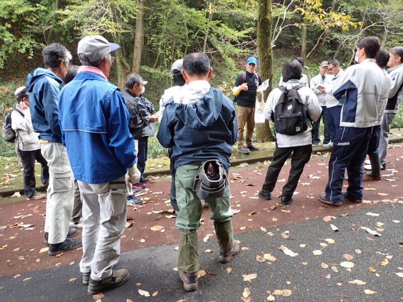 落葉したアベマキの葉の見方を学ぶ参加者