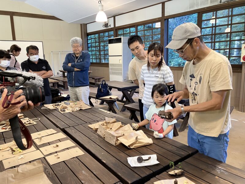 きのこの同定と観察