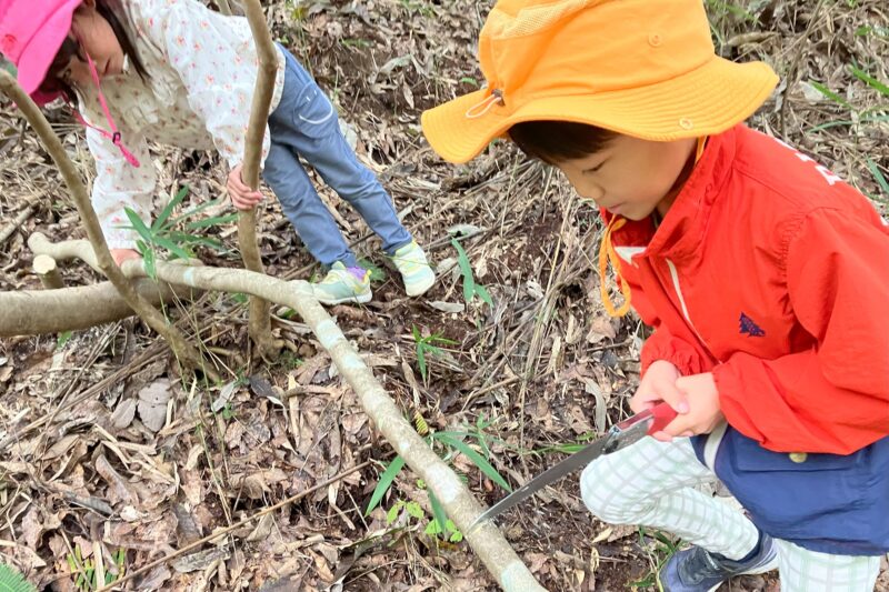 里山の間伐を兼ねて、タカノツメを1本伐ってきました。