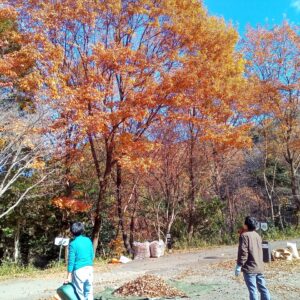 青空に映える紅葉に見惚れる