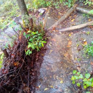 雨が川のように流れてしまっている