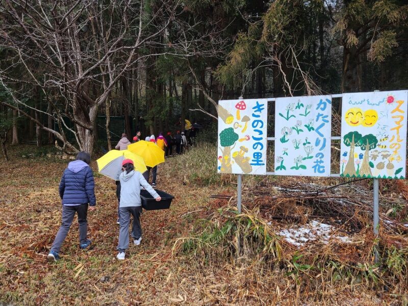 春にはカタクリが咲く