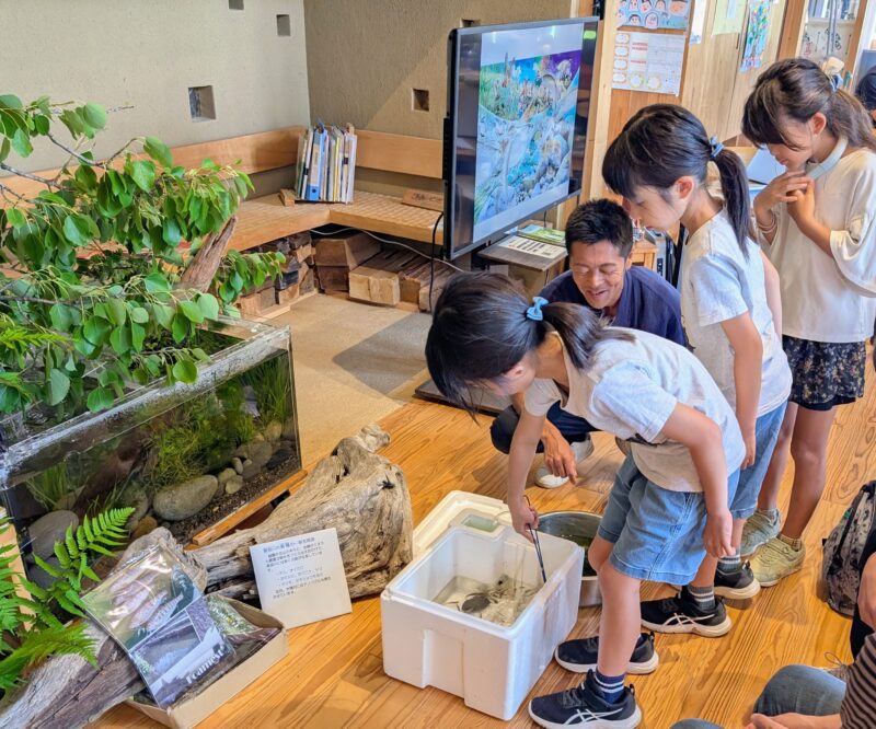 カワムツやカマツカを追加で入れる子どもたち