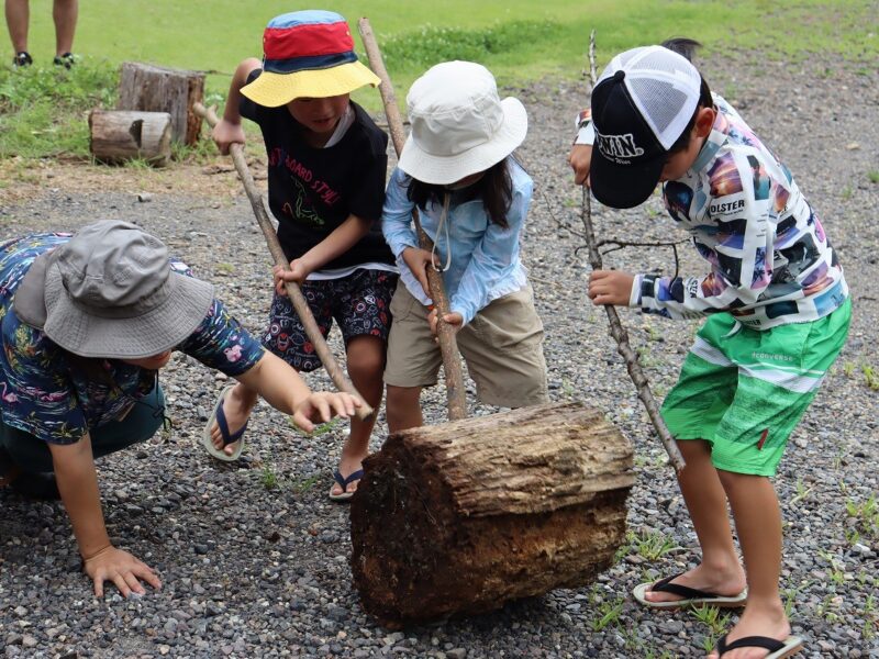力を合わせて丸太をはこぶぞー!