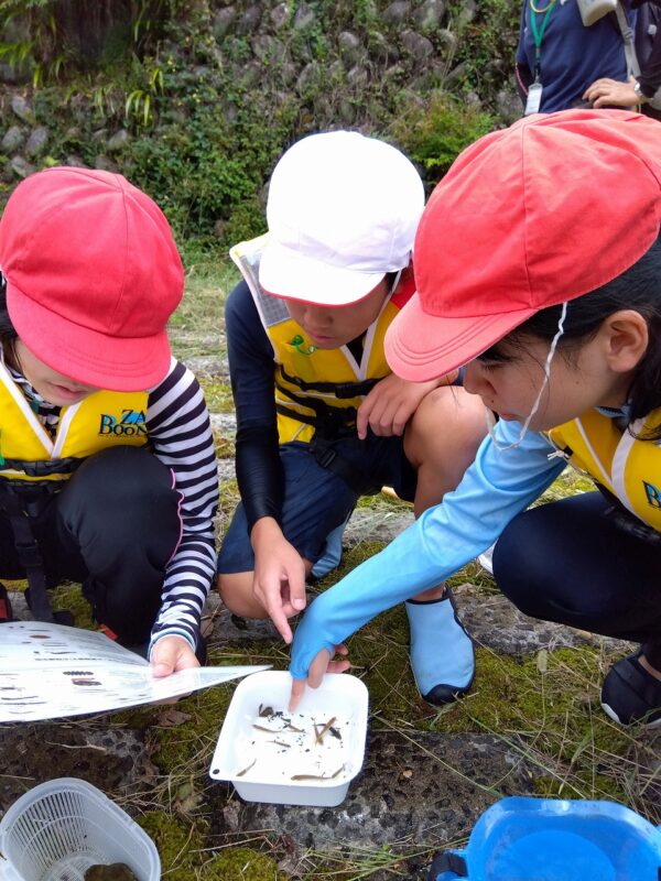 水質指標生物の表と見比べる