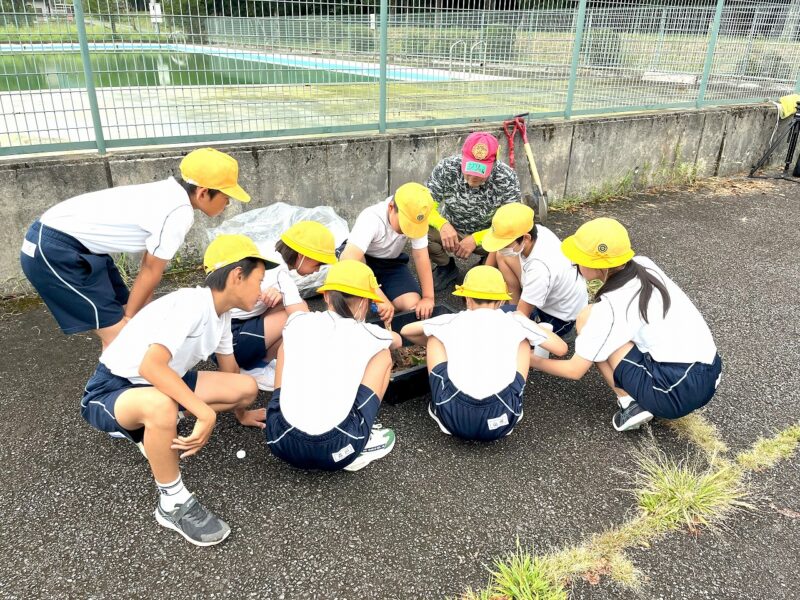 morinosから持ってきた「森の土」を触ってみる