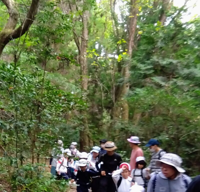 色探ししながら次のポイントまで移動するみなさん