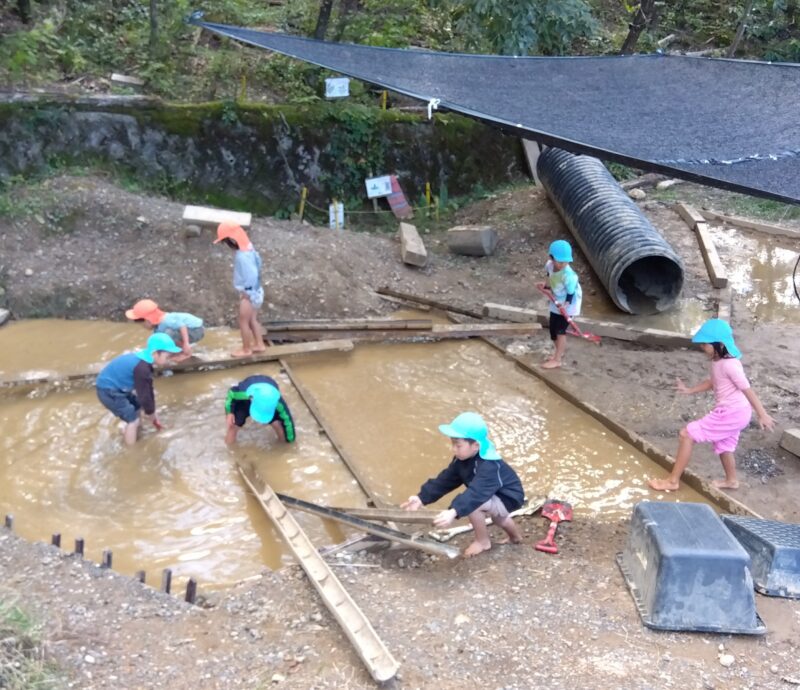 泥池遊びを楽しむ園児のみなさん