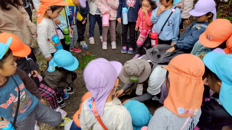 林道に落ちていたものは何かを考える園児のみなさん