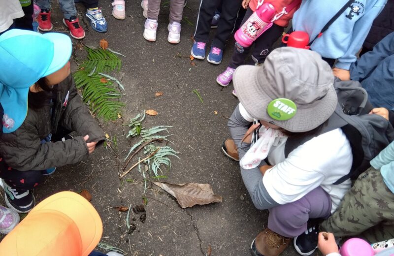 棒で糞を潰して中身を確かめてみる