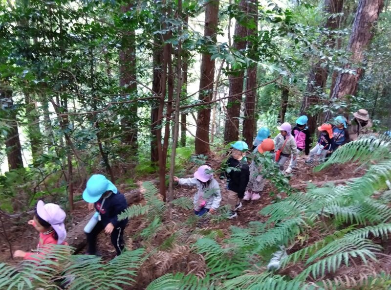 イノシシコースで四寸傘を目指す園児のみなさん