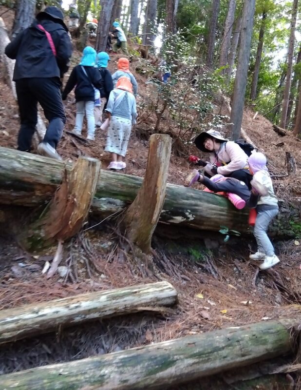 林内に横たわる丸太を乗り越えて四寸傘を目指す園児のみなさん