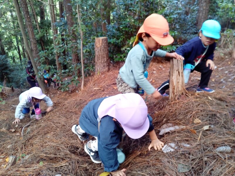 急斜面は四つん這いになって登る園児のみなさん