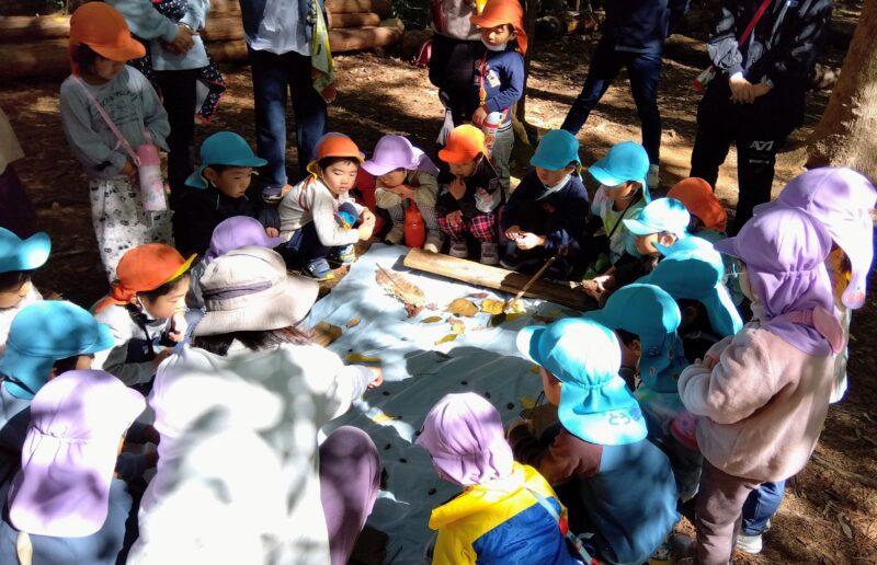 周辺にあった落ち葉や木片、ドングリなどの色を観察する園児の皆さん