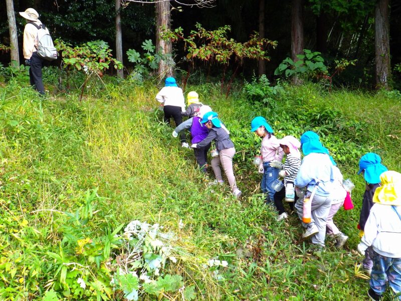 園の駐車場を抜けて、さっそく裏山へ