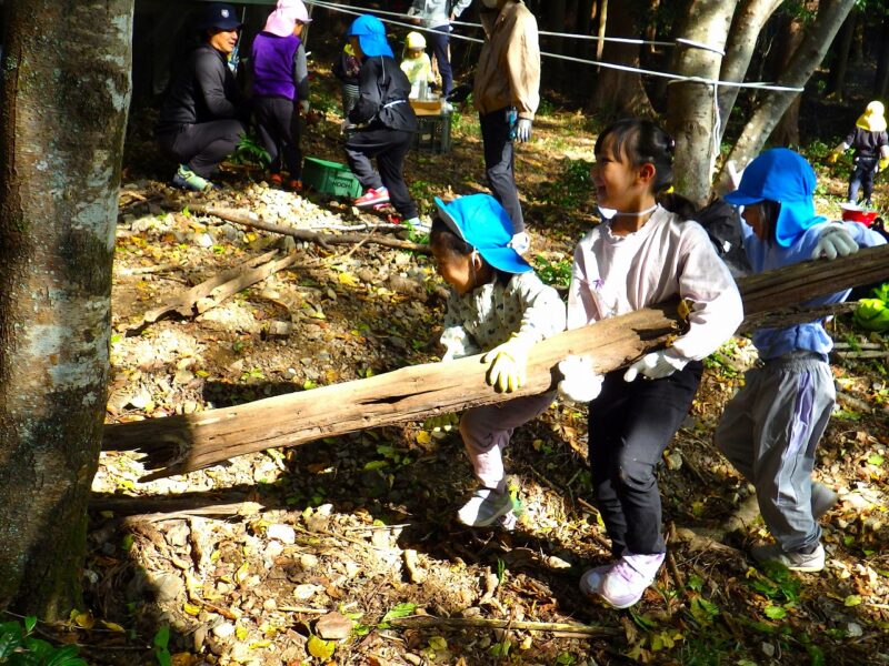 力を合わせれば、太い木も運べちゃう