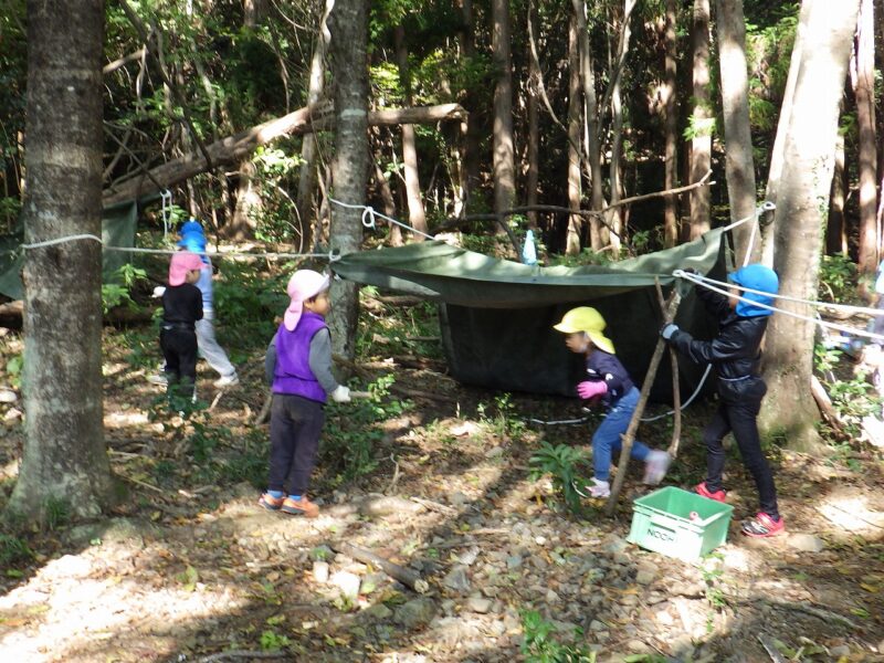 素材を活かした創造力！