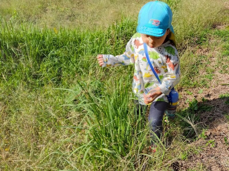 道草こそ、最高の発見に満ちている