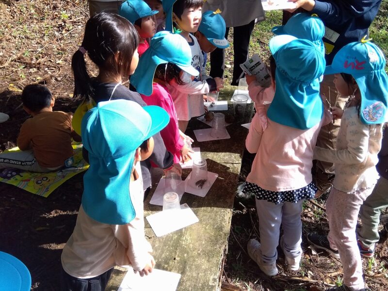 みんなで覗き込む、里山の宝物