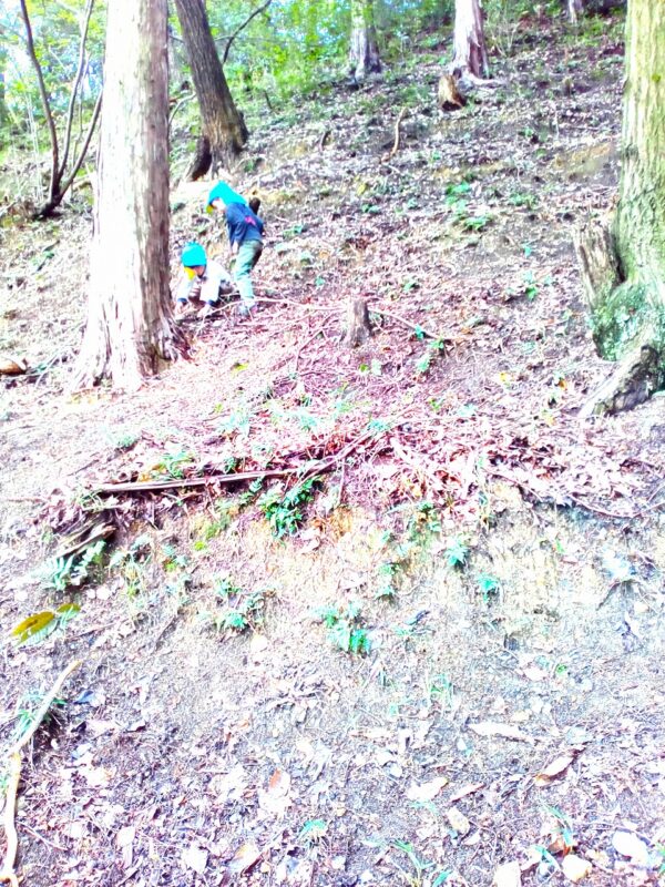 大人の声が届く前に迷わず一気に駆け上がる