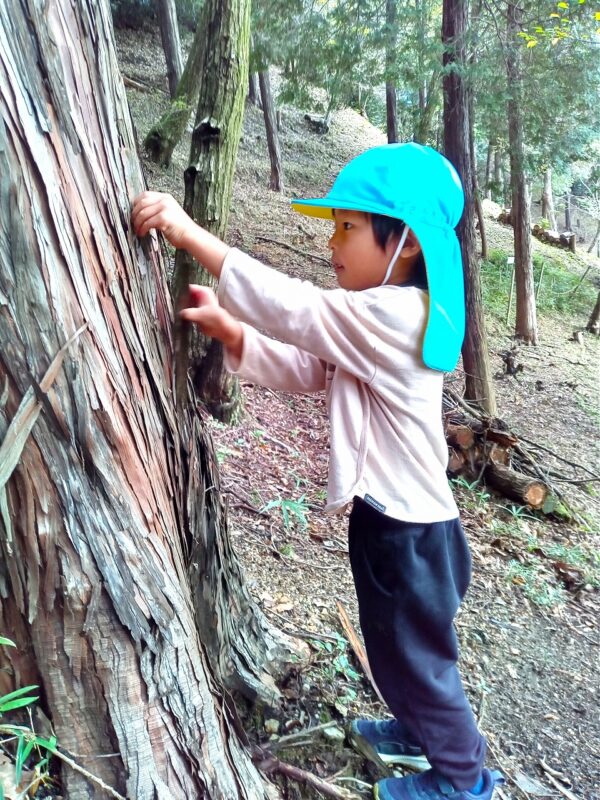 指先に感じる、木の皮のザラザラと湿った手触り