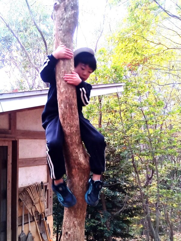 四寸傘で遊びつくす