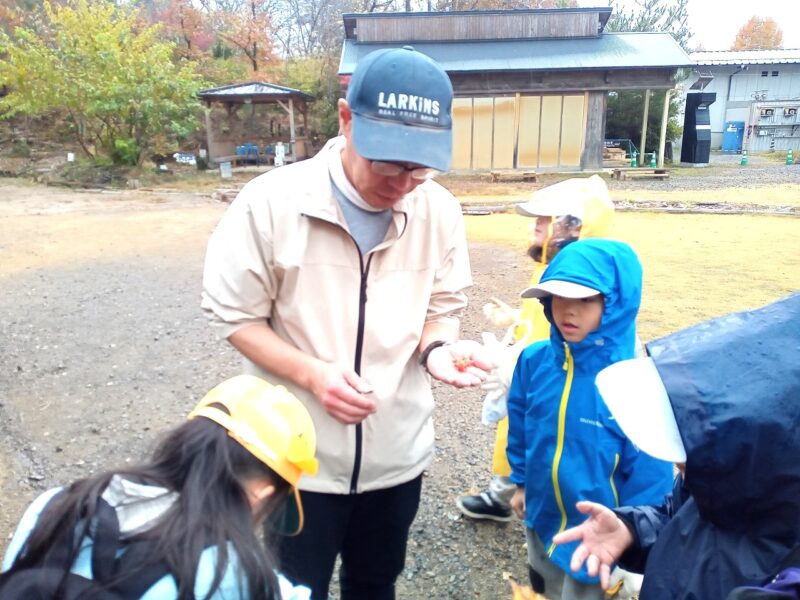 森のおみやげ、どうぞ