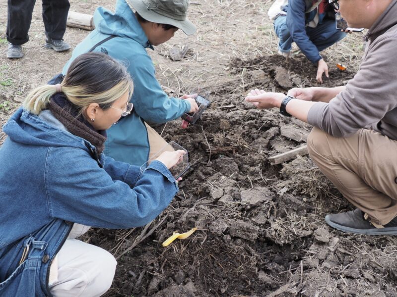 適した土を探る参加者