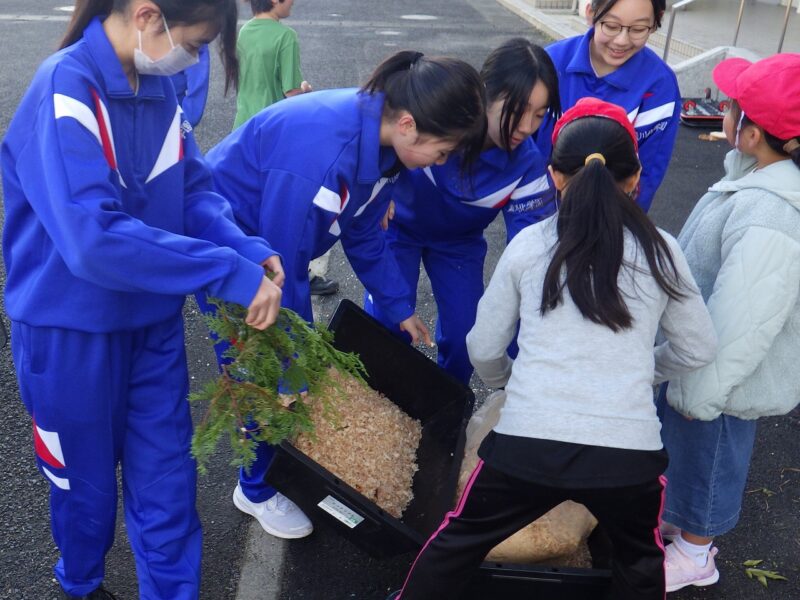 素材集めスタート