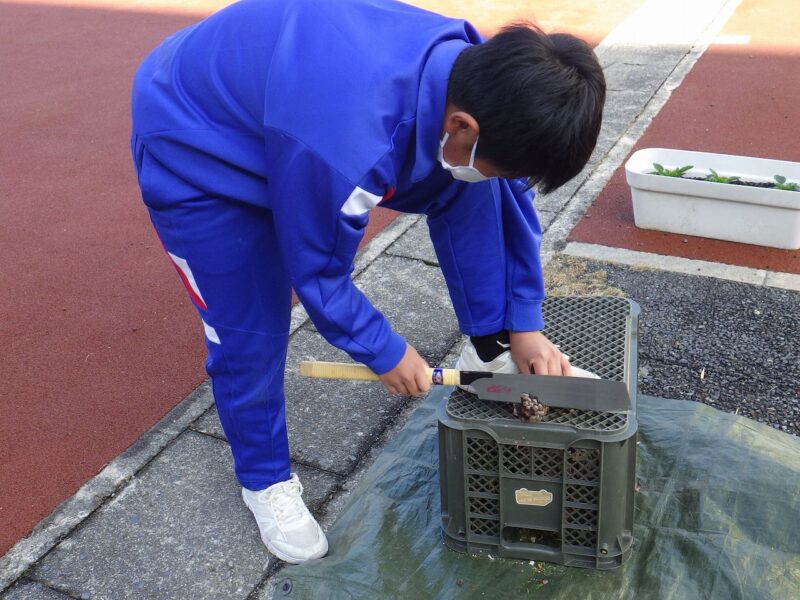 道具を使うことに挑戦！