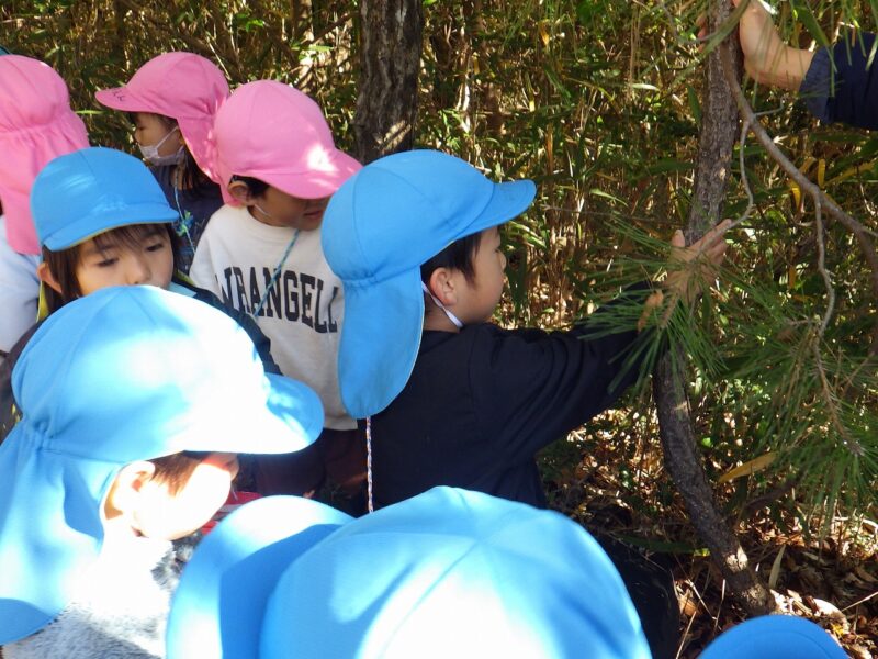 五感を研ぎ澄ます