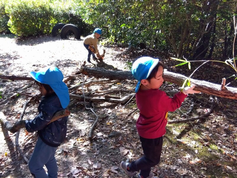 これ、使えそう！