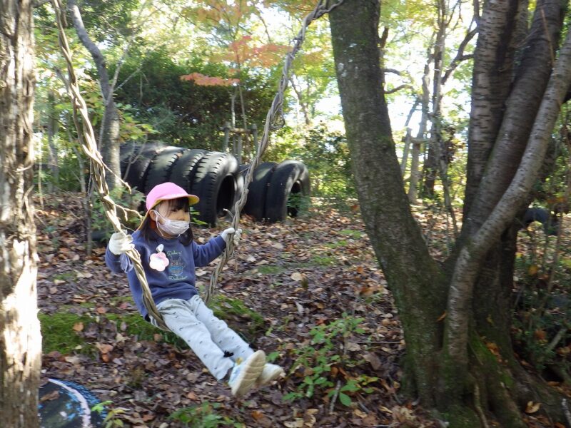 森の中では藤ヅルもブランコになっちゃう