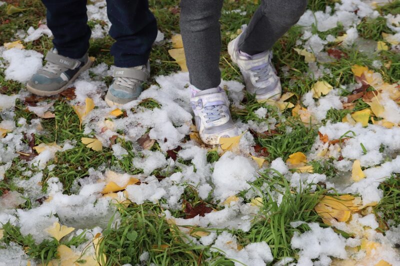 ザクザクの感触がやめられない!