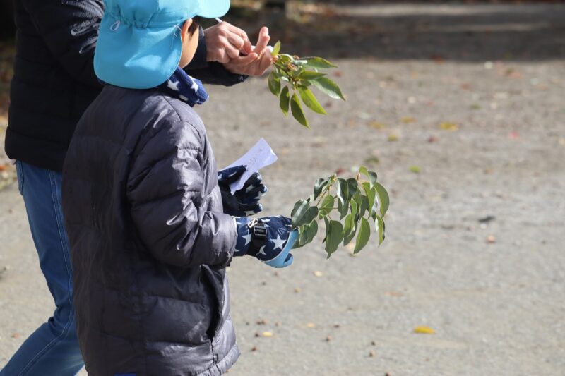 ぼくのお題は『すべすべ』のもの」