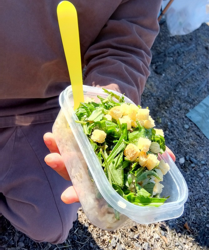 玄米ご飯に野草とクルトンを載せた「証飯」