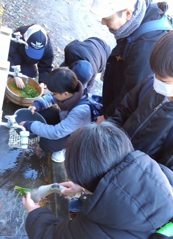 自分たちが食べる野草を