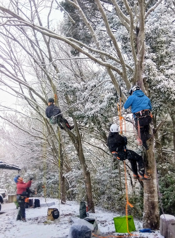 雪の中、参加者のクライミングチェック