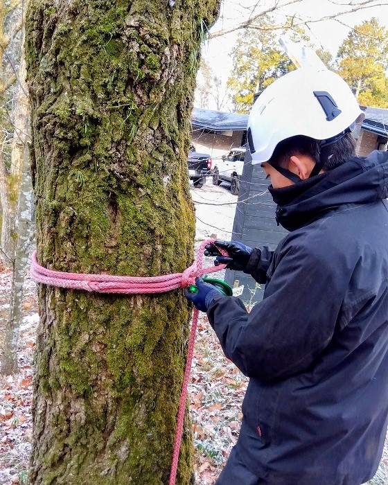 カウヒッチを実演する参加者