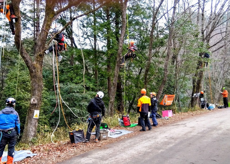４グループに分かれて実践練習する参加者
