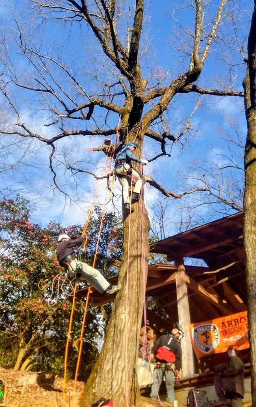 １日目のクライミングに挑む参加者