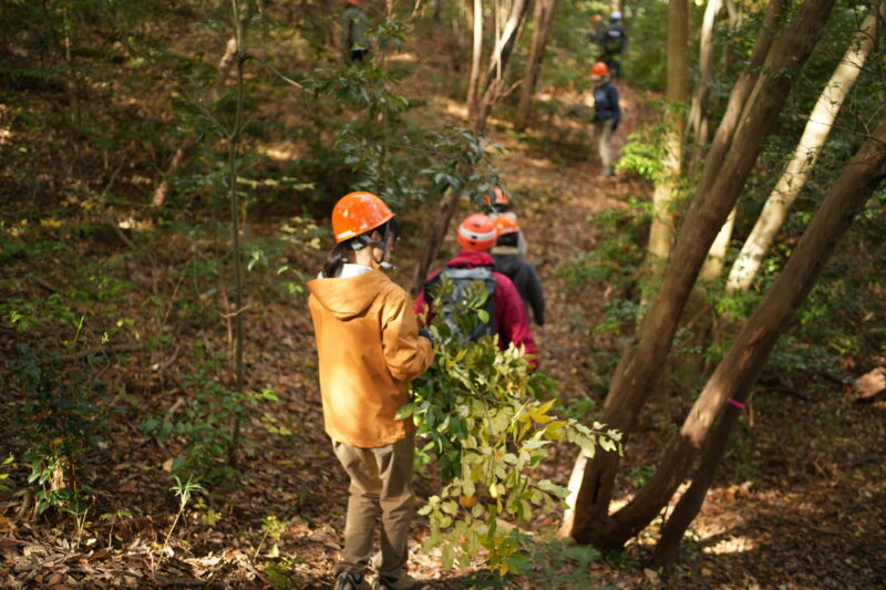 採取した枝を持ち森を歩く参加者