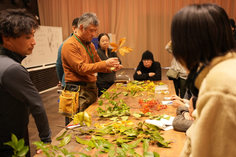 葉から樹木の見分けかたを学ぶ