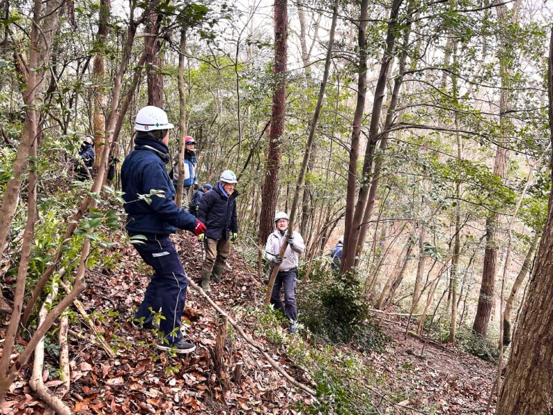 常緑広葉樹を主体に整備する参加者