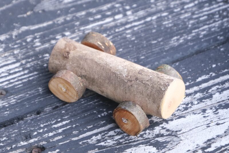 あっという間に完成させて、森に探検へ