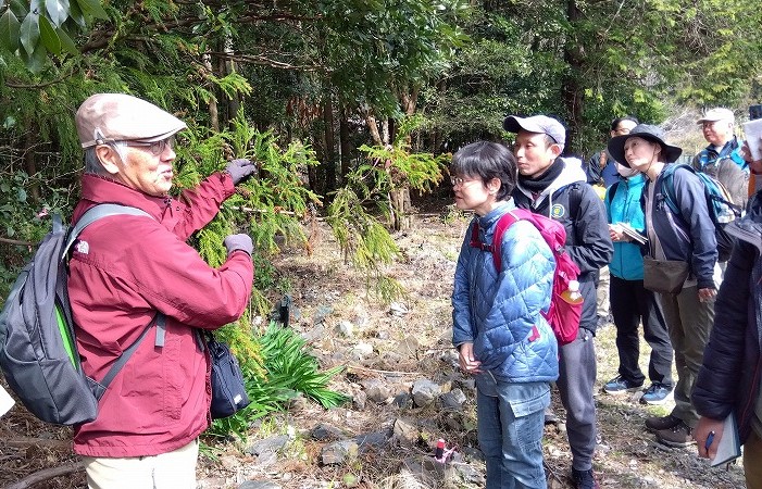 照葉樹の葉の仕組みについて解説する小原さん
