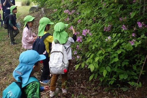 帰る途中で見つけたモチツツジの葉を握る子どもたち