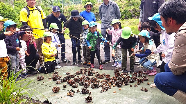 「釣りぼっくり」に挑戦する子どもたち