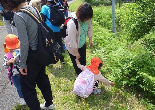植物観察する親子