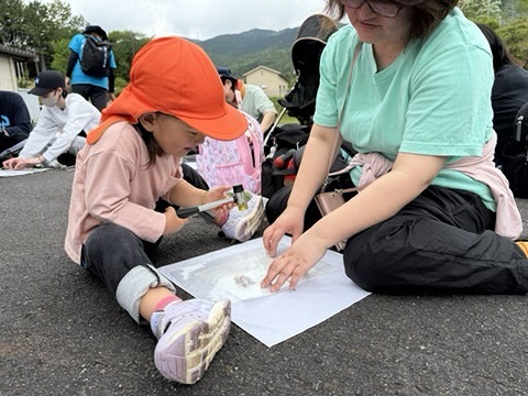 木綿のハンカチに花や葉っぱをたたき染めする親子